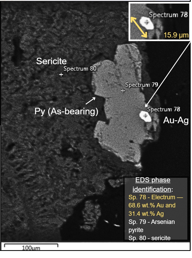 Figure 1. SEM electron image of sample HW-SEM-05 showing an electrum grain