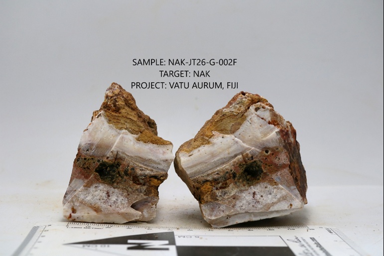 Figure 2: Quartz vein sample NAK-JT26-G-002F (616 dU; ~0.62 g/t Au est.), showing brecciation and iron-oxide-filled vugs.
